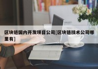 区块链国内开发项目公司[区块链技术公司哪里有]