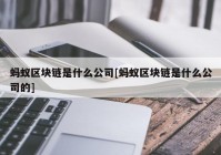 蚂蚁区块链是什么公司[蚂蚁区块链是什么公司的]